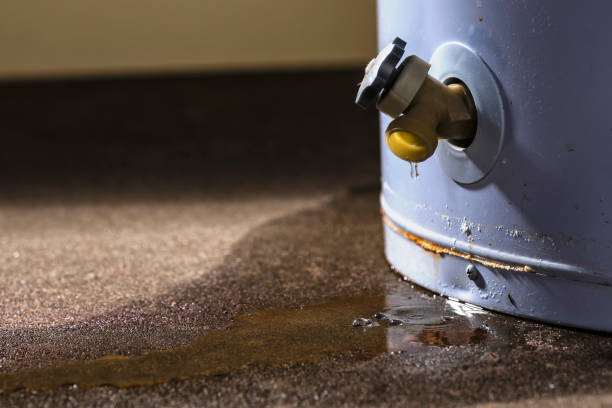 Best Water damage cleanup near me  in Ware Shoals, SC