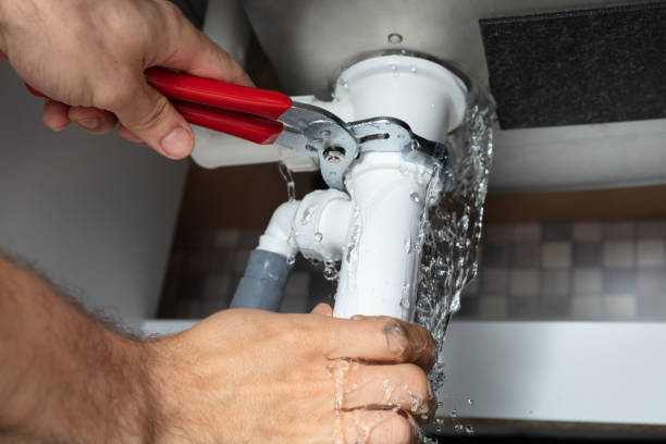 Best Flood restoration services  in Ware Shoals, SC