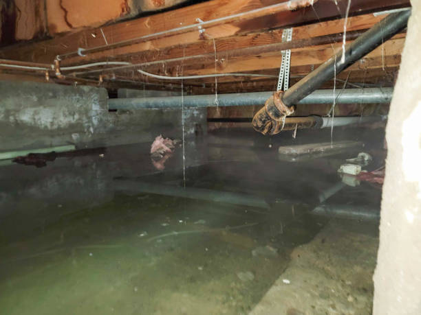  Ware Shoals, SC Water damage restoration Pros