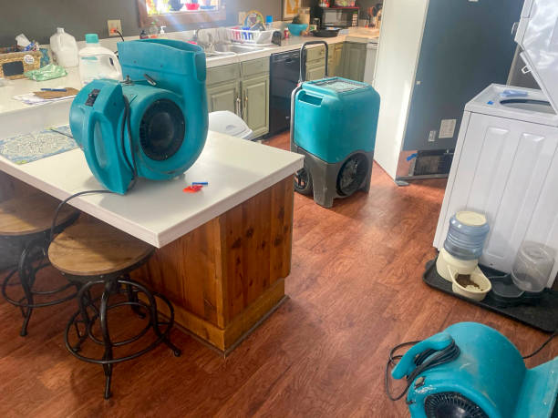 Best Professional water damage repair  in Ware Shoals, SC