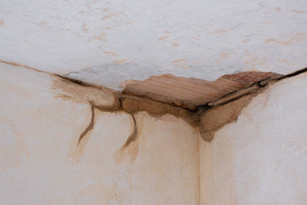 Carpet water damage restoration in SC
