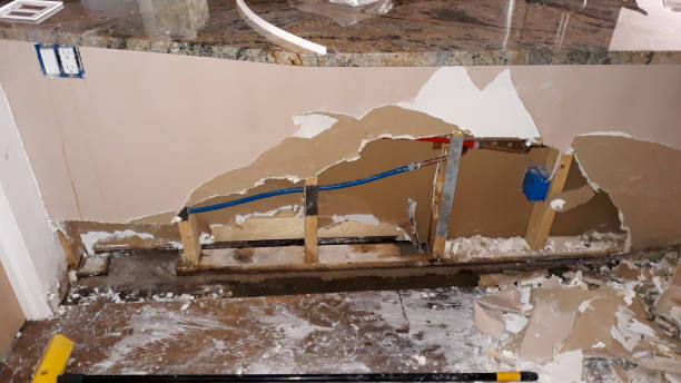Best Fire Damage Restoration  in Ware Shoals, SC