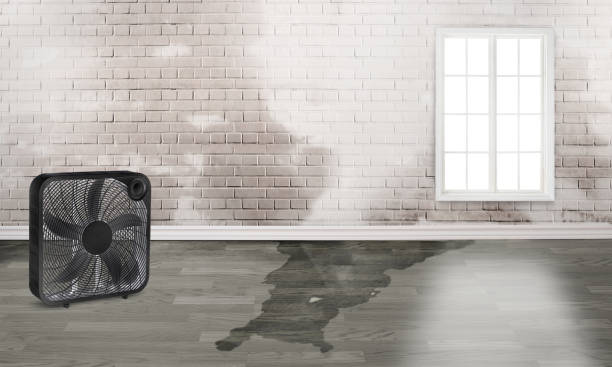 , SC Water damage restoration Company
