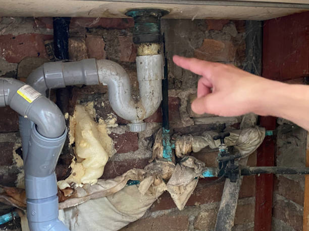 Best Water damage cleanup near me  in Ware Shoals, SC