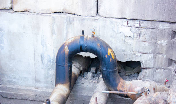 Best Water damage mitigation services  in Ware Shoals, SC